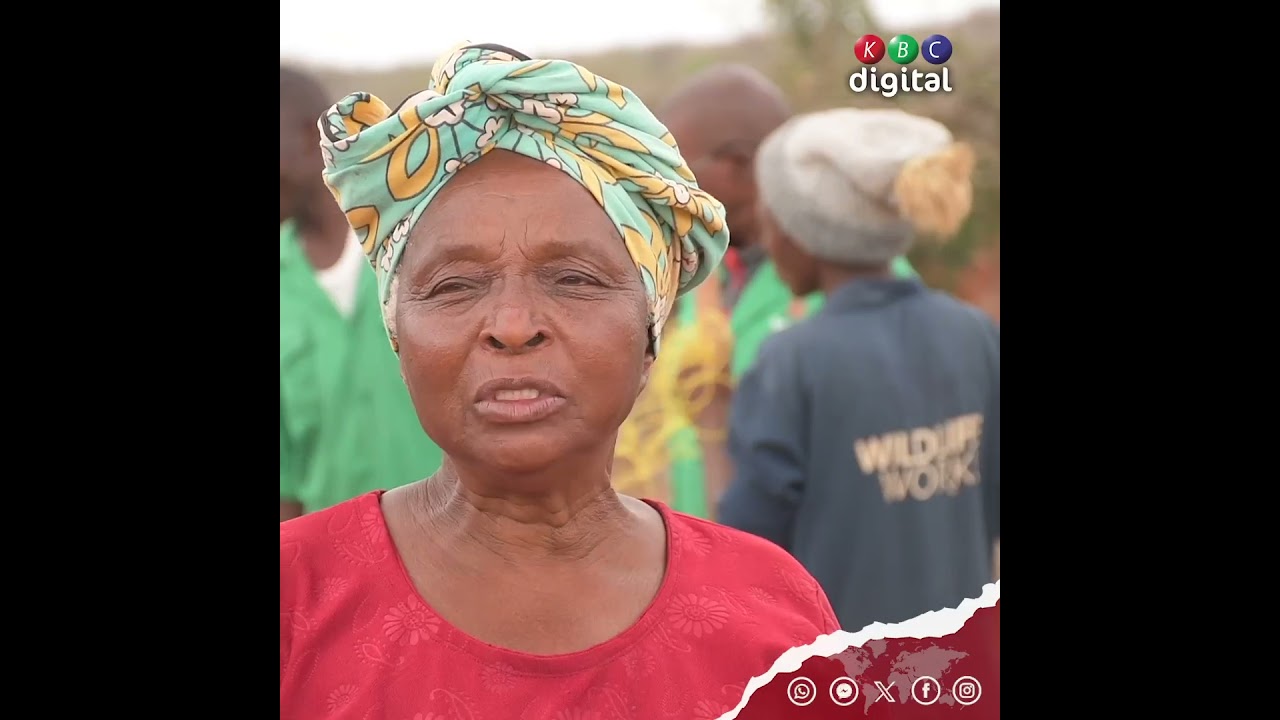 Climate-Smart Agriculture Techniques: Contour Trenches and Zai Pits