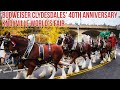 Budweiser Clydesdales World's Fair Park 40th Anniversary Knoxville Tn Yankee in the South 2021