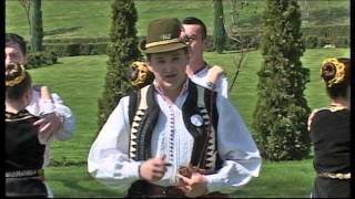 Bogdan Toma Feciorii din Poieniţa