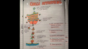 cell organelles#youtubeshorts #viralshorts #shorts #viral #trending #cellorganelle #viralshortvideo