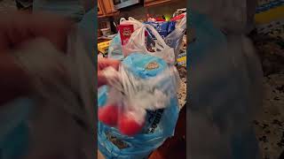 Food Lion haul