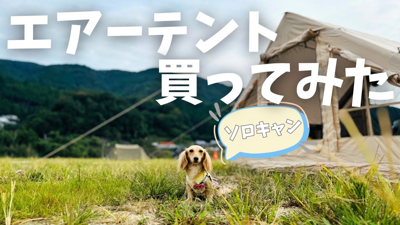 【犬7頭と暮らすおっさん】キャンプ初心者がエアーテントでソロキャンプに挑戦【犬連れソロキャンプ】