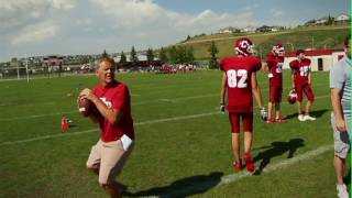 Play video: Cobras