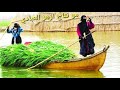 استمع الئ طرب ريفي العراقي موال يهد الحيل مع اغنيه يكولون صاير حلو