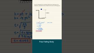 Physics | Free Falling Bodies Profile