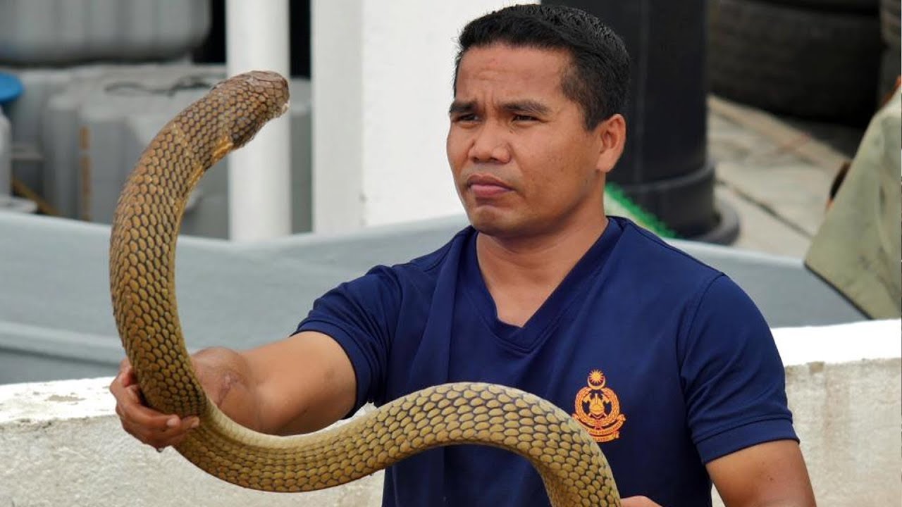 serpent safari owner attacked