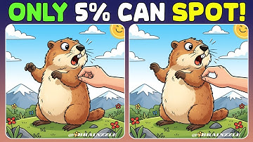 Spot the 3 Differences | 95% Give Up After Level 4! [Find The Difference]