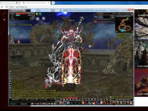 Suzaku cloak and  Erya wing bird, 12 sky 2  classic international