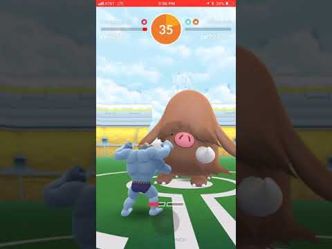 Machamp vs Piloswine 1v1
