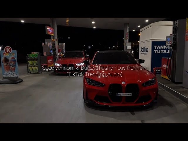 Sgee vehnom & Bugzy2flashy - Luv Punnani (TikTok Trending Audio)
