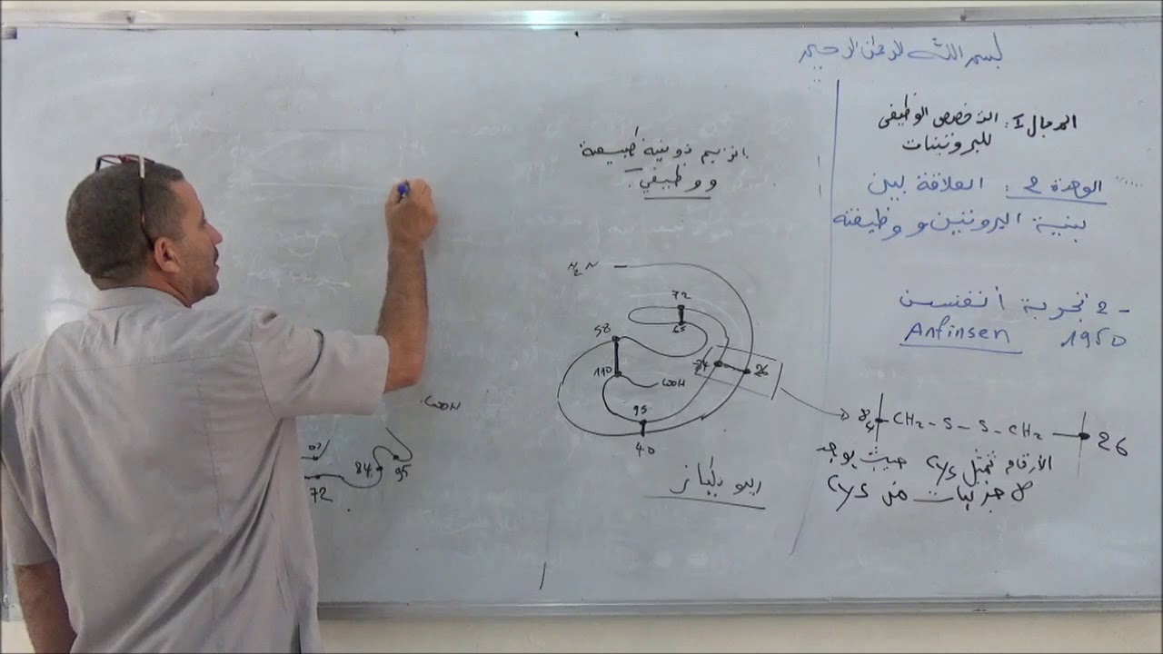 ANFINSEN  تجربة أنفنسن