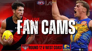Essendon Fan Cams LIVE vs West Coast  FC | Round 12  Post-Game Reactions