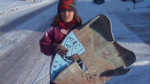 RCDOX 2010 NEURON SNOWFLAKE repaired and flying RC plane