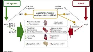 ARNI: Sacubitril-Valsartan - 6 minute high yield podcast review