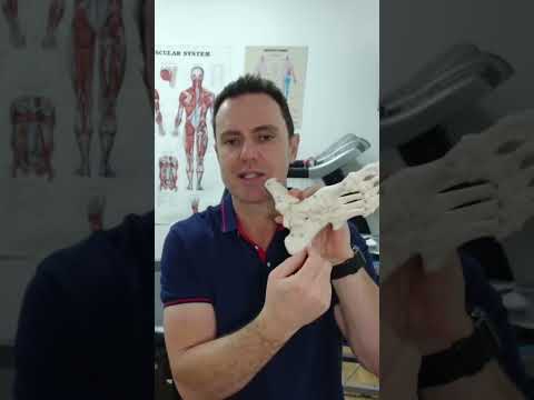 Arch Support Orthotic