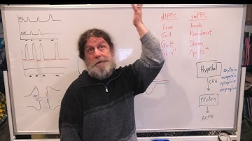 14-Limbic System IV - Robert Sapolsky