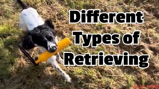 Working cocker spaniel : 8 different retrieval games for you and your dog 