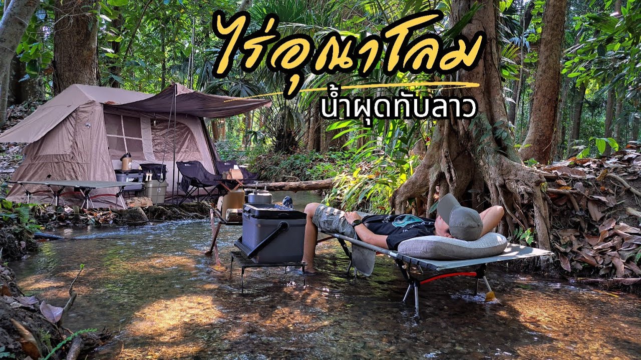 กางเต็นท์ริมลำธารในป่า ไร่อุณาโลม ในเดือนเมษายน ร่มรื่น น้ำใสไหลเย็น | น้ำผุดทับลาว ชัยภูมิ