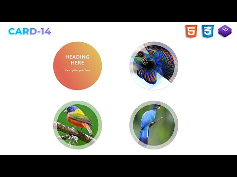 Learn how to create this responsive circle card hover effects | Card-14