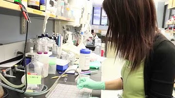 Excess Synapses Found in Brains of People with Autism