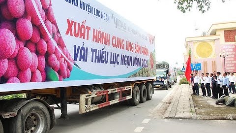 Hiệp hội Dệt may Việt Nam chung tay kết nối tiêu thụ vải thiều Lục Ngạn