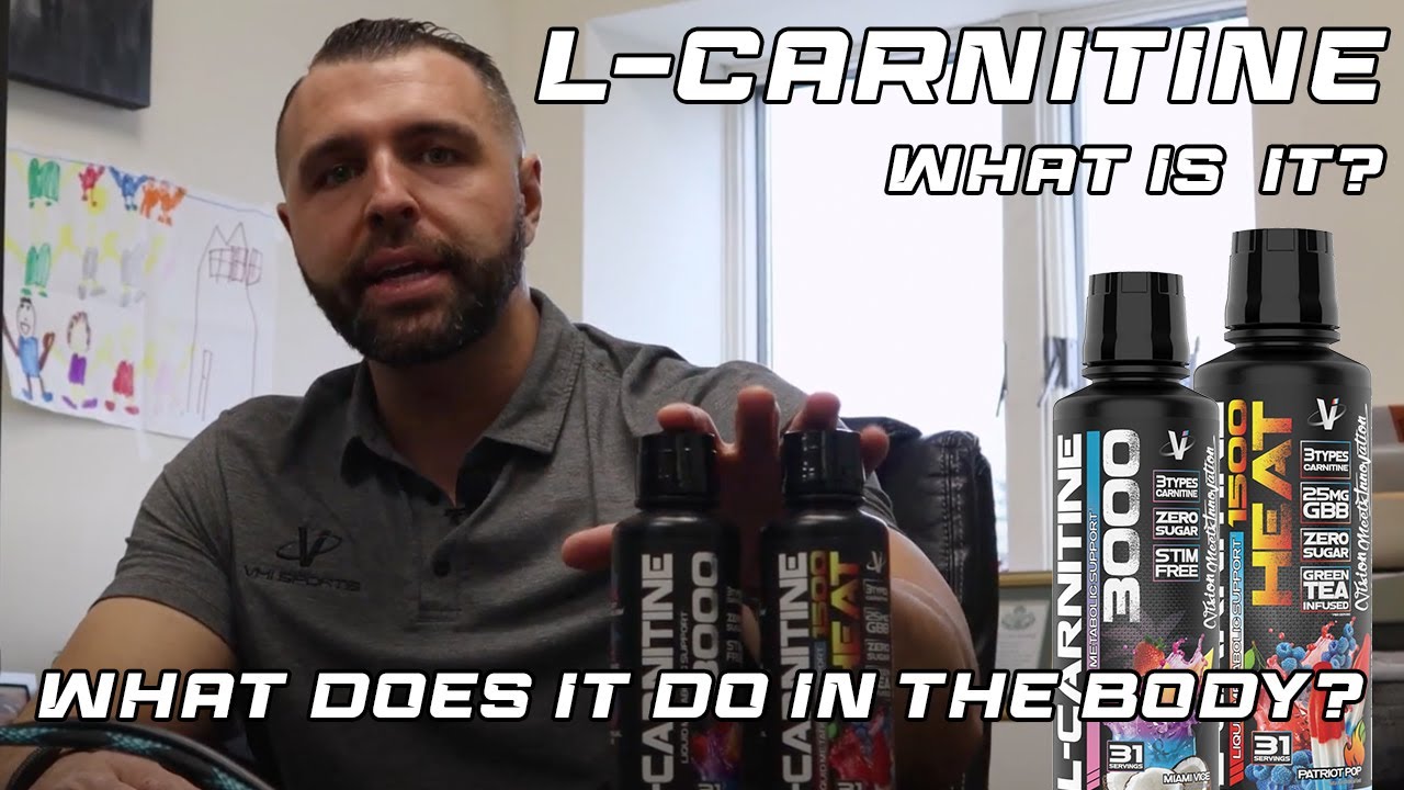 What is Lcarnitine, and what does it do in the body? YouTube