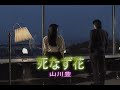 (カラオケ)死なず花 / 山川豊