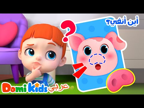 أين عيني أين أذني وأين أنفي هيا نغني مع ا أغاني الأطفال دومي كيدز Domi Kids