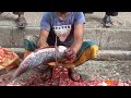 Big Rohu Fish Cutting By_ Expert Fish_ Cutter || ARS fish cutting by Arshad