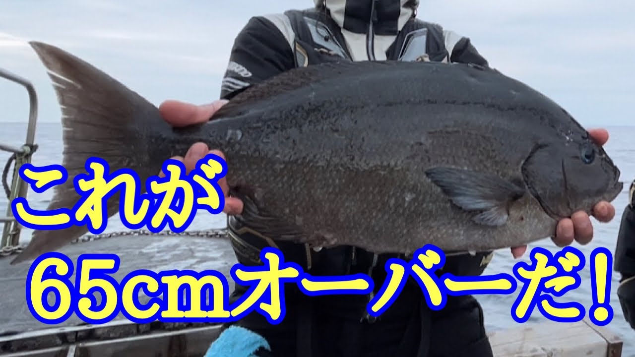 佐多田尻小崎で尾長とアラを狙ってみた。衝撃的結末が…