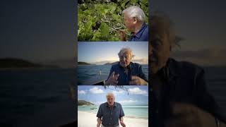 Happy 100th birthday Sir David Attenborough