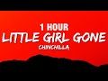 1 hour chinchilla  little girl gone lyrics