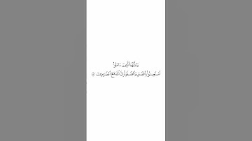 صلاة التراويح ليلة ٢ رمضان ١٤٤٥هـ سورة البقرة الاية ١٥٣ الشيخ أحمد بن طالب بن حميد