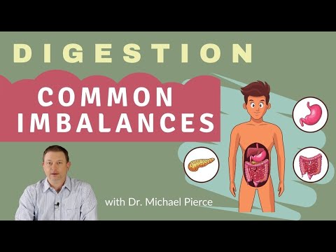 Digestion Series - Common Digestive Imbalances Explained. Is it stomach acid or bile?
