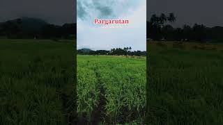 Download Lagu Desa pargarutan MP3