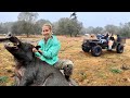 Wild Weekend at the Ranch! Big Swamp Buggy, Cookin’ Food, Dogs & Hogs 🐗 (Vlog)