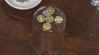 Thumbnail for Spangler Science: St. Patrick's Day