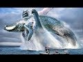 10 biggest sea dinosaurs in the world