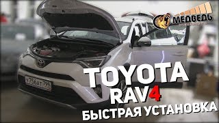 Toyota RAV4 - Быстрая установка СТУДИЯ "МЕДВЕДЬ"