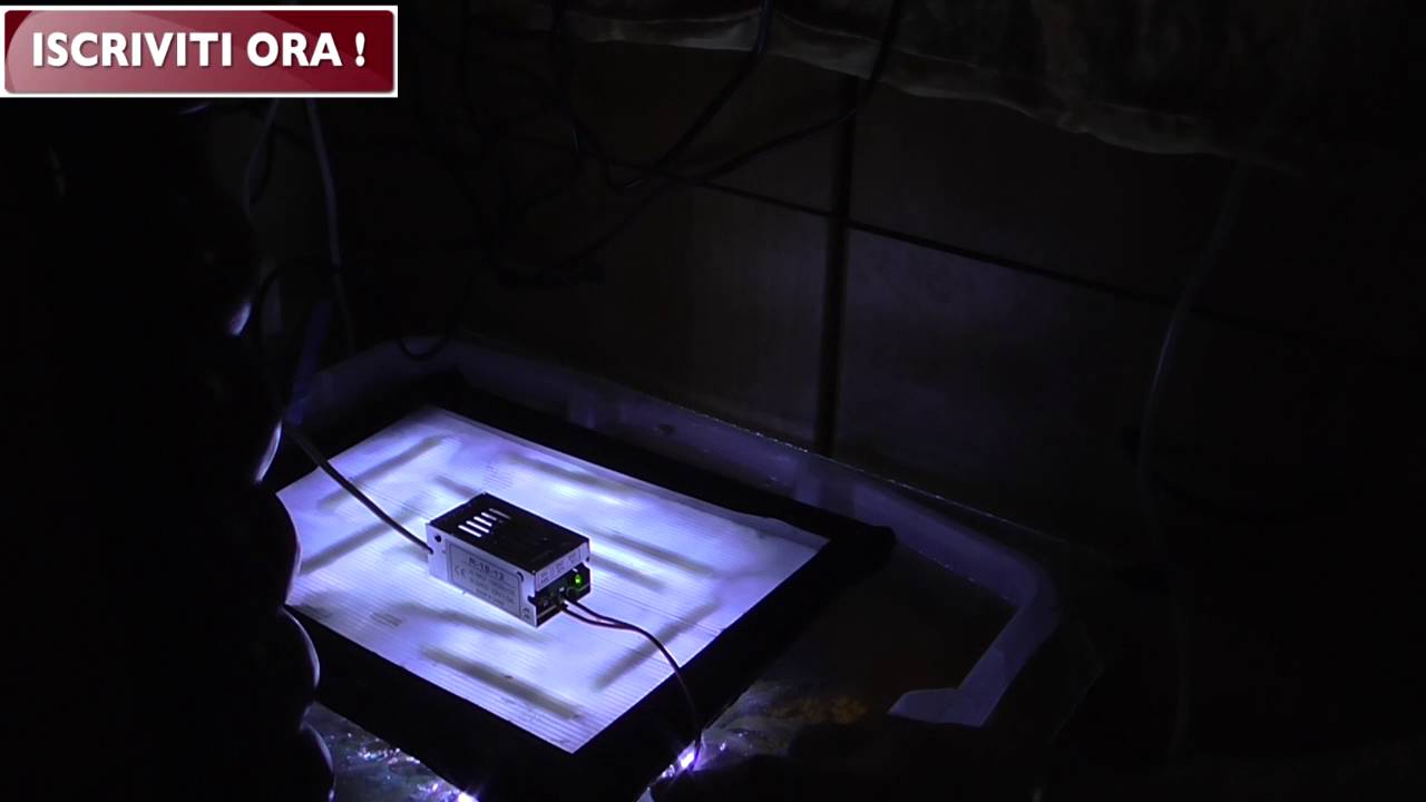 led cinesi in acquario impianto di illuminazione YouTube -> Lampade A Led Quali Comprare led cinesi in acquario impianto di illuminazione YouTube -> Lampade A Led Quali Comprare