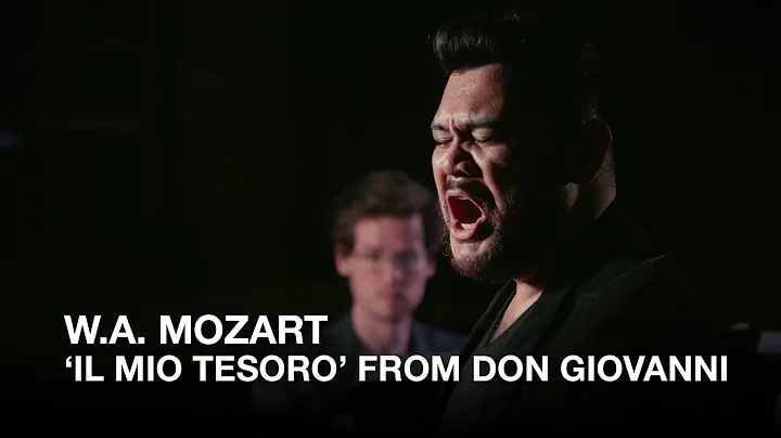 W. A. Mozart: 'Il mio tesoro' from Don Giovanni, s...