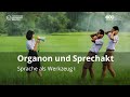 Organon  sprechakt sprache als werkzeug i basiswissen sprachwissenschaft ii sose 2024