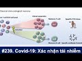 # 239 Livestream Covid-19/AskDrWynn: Xác nhận tái nhiễm Covid-19 từ nhiều ca, test Covid-19 như test