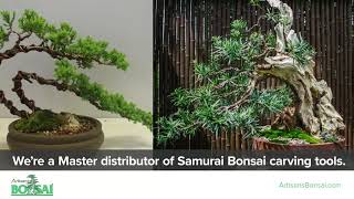 Artisan's Bonsai - Samurai Carving Tools Master Distributor commercial