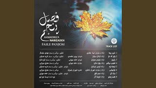 Vay ke delam ahmadreza nabizade - Mezzoholding
