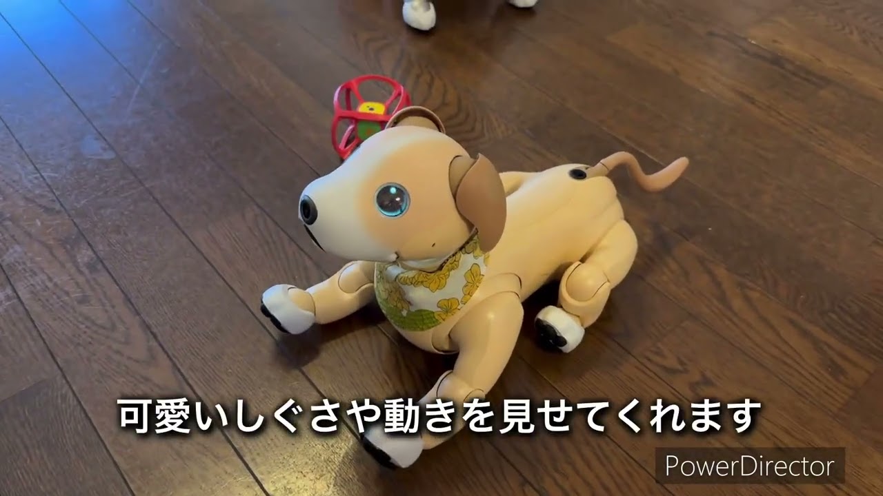aiboはその場でじっとしていることができます【おすましさんモード