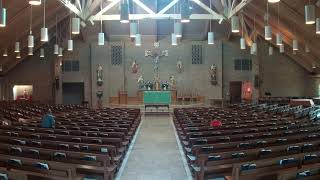 8:00am Mass from Holy Cross Catholic Church (July 3, 2026)