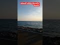 නිදහසට ආදරේද ඔයා🏄🌅/beautiful environment love you/#love/#natural/#short.