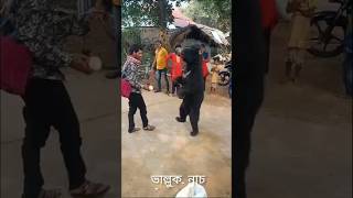 Dancing Bear 🐻🐻🐻||#shorts #funny #entertainment #bear#dance