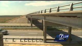Swallow wing span evolves over 30 years